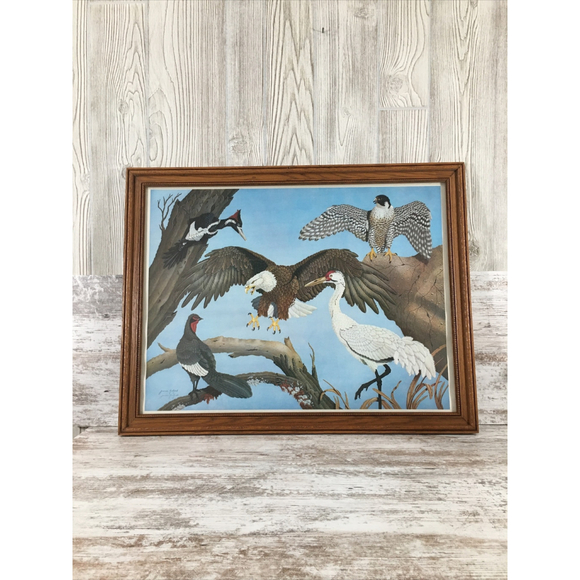 Other - James Kukrul Wildlife Print Signed & Framed Eagle Crane Woodpecker 22x27